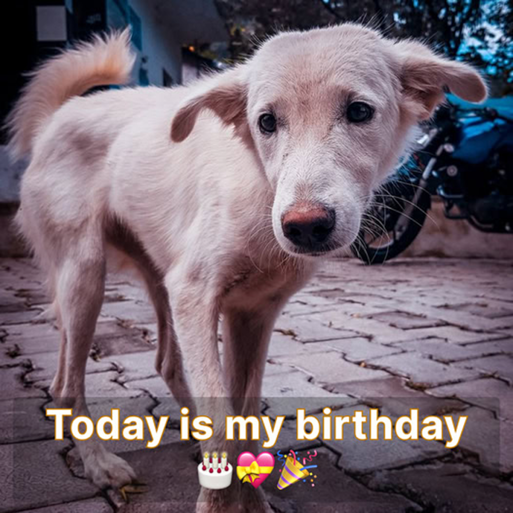 Today is my birthday, and I’m feeling really low since no one has remembered to send me birthday wishes. -dtht