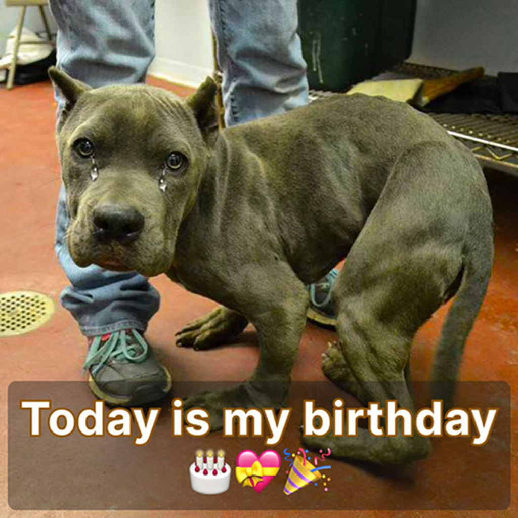 Today is my birthday, and I’m feeling really sad since no one has reached out to wish me well. -dtht