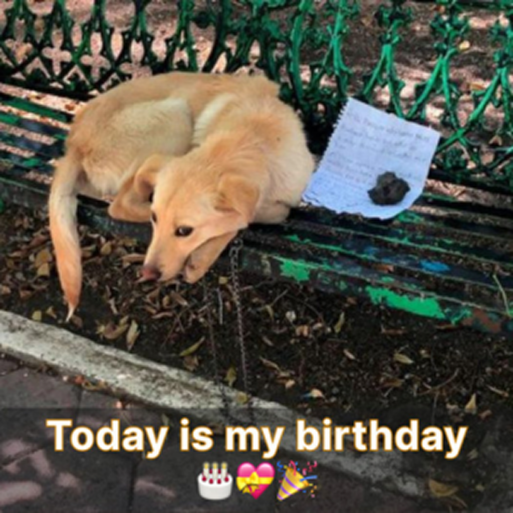 Today is my birthday, and I’m quietly waiting for someone to make it feel special with a wish. ‎ -dtht