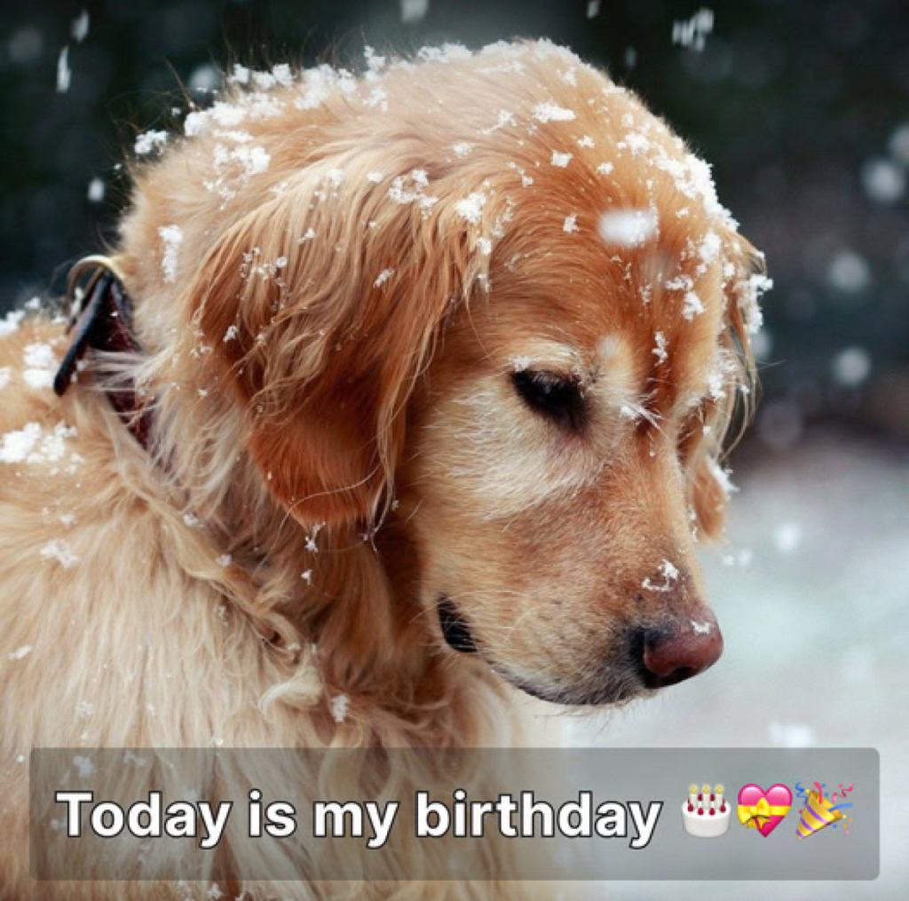 Today is my birthday, but I feel really down because no one has remembered to wish me a happy birthday 🎂😔 -ltbl