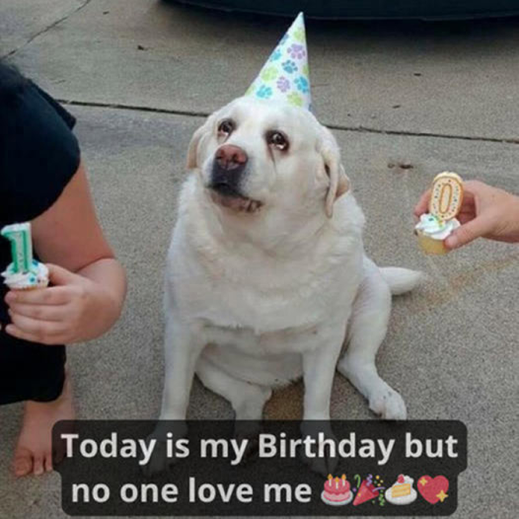 Today is my birthday, but I feel really sad because no one has remembered to wish me a happy birthday. -dtht
