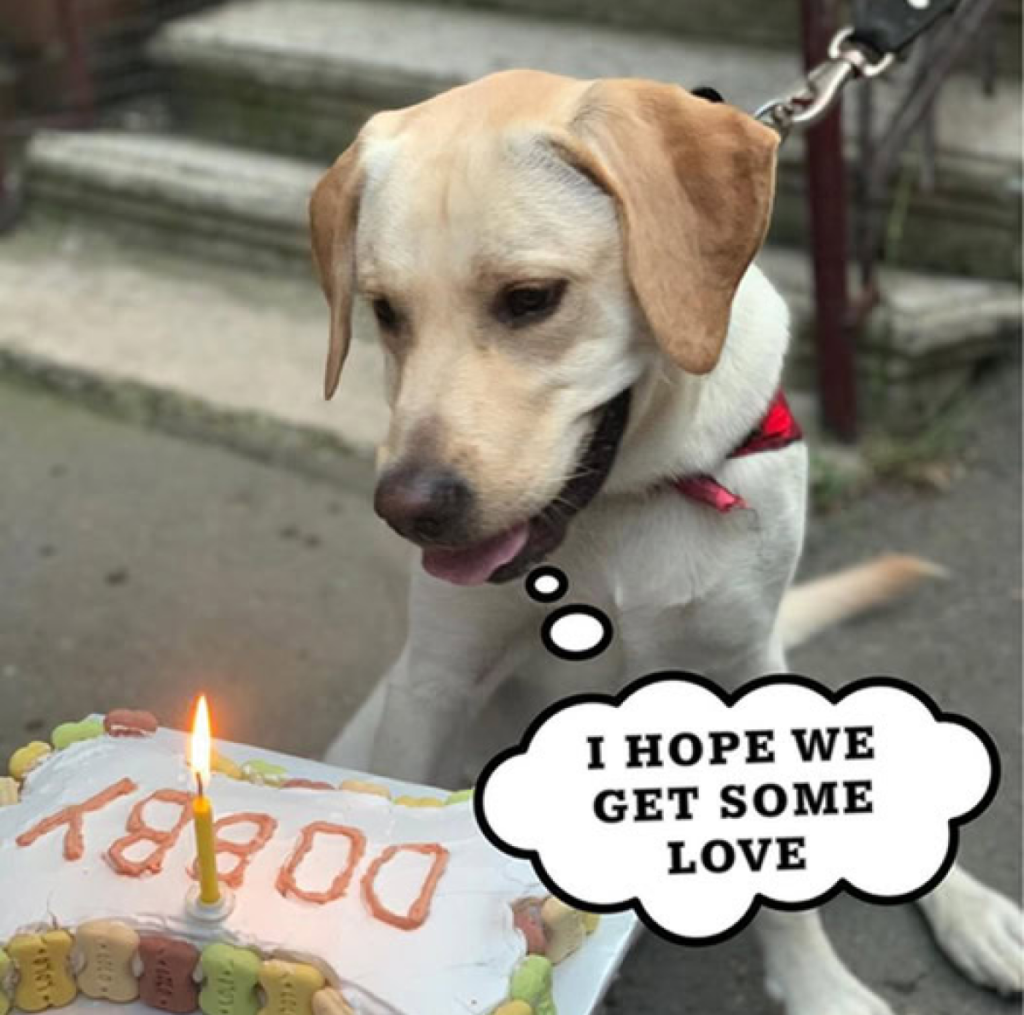 Today is my birthday, but I haven't received any well wishes. I feel like I'm going to cry -ltbl