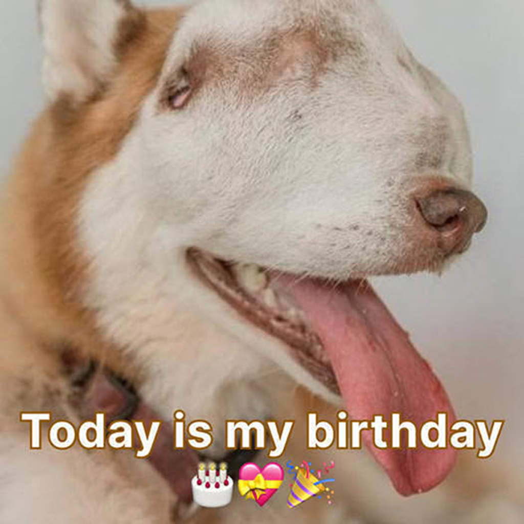 Today is my birthday, but it feels empty because no one has taken a moment to send a kind greeting ‎ ‎ -dtht