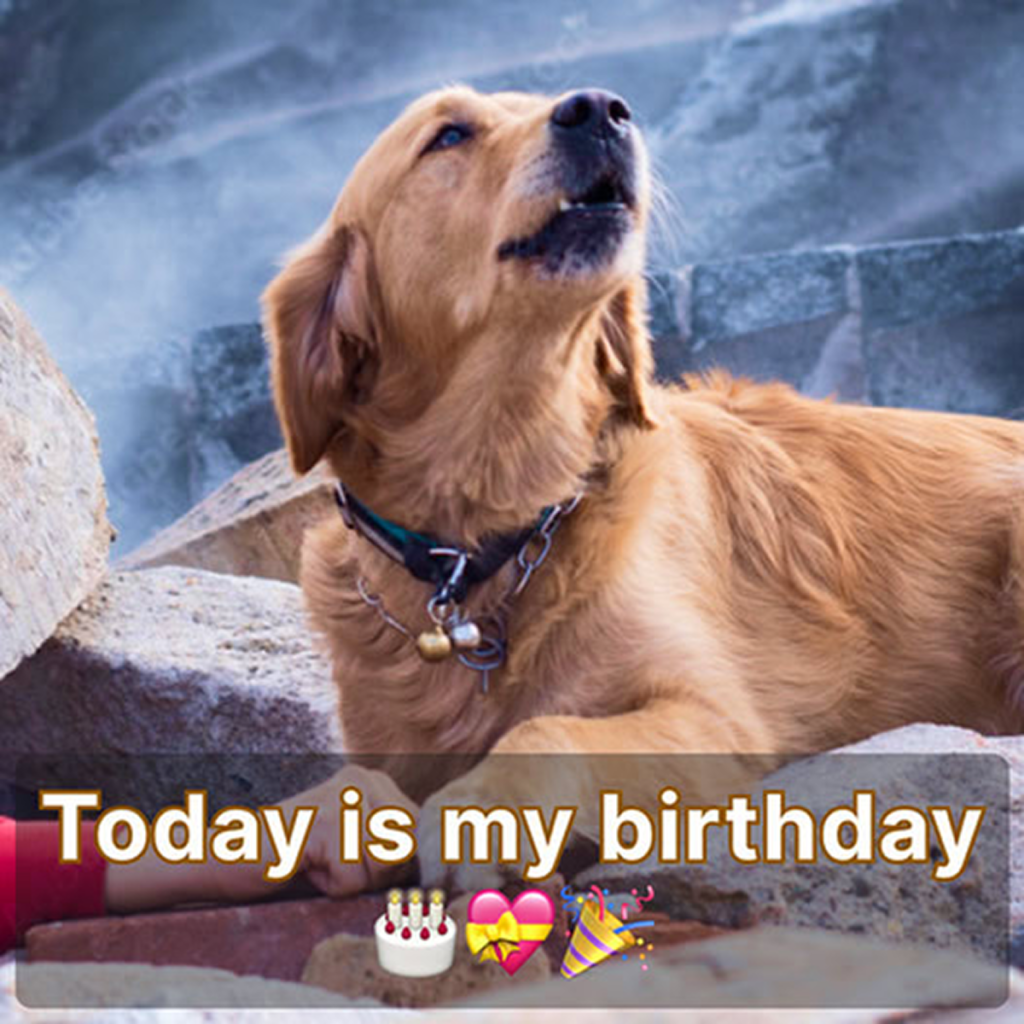 Today is my birthday, but no one sent me birthday wishes, I'm really sad about that. Is there anything you can do to make me feel happy when I'm alone. ‎-dtht