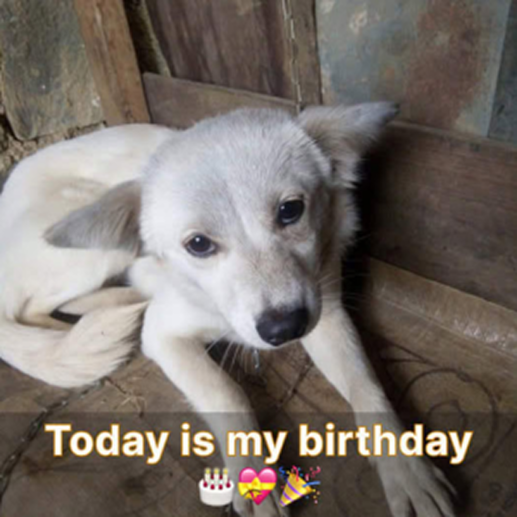 Today is my birthday, yet no one has wished me so far. Maybe they have all forgotten. -dtht