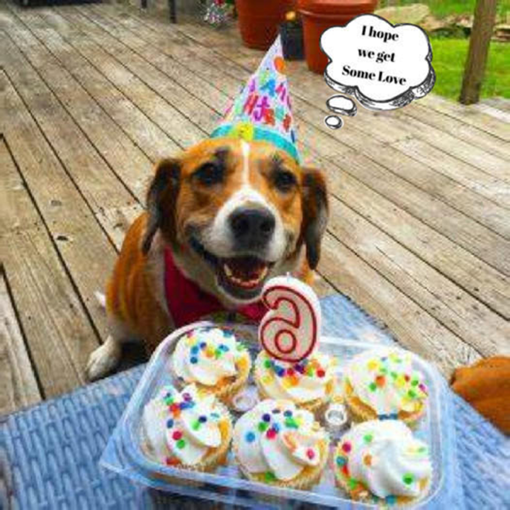 Today is my birthday, but I’m feeling really down because no one has wished me a happy birthday yet. 🎂😔 -ltbl