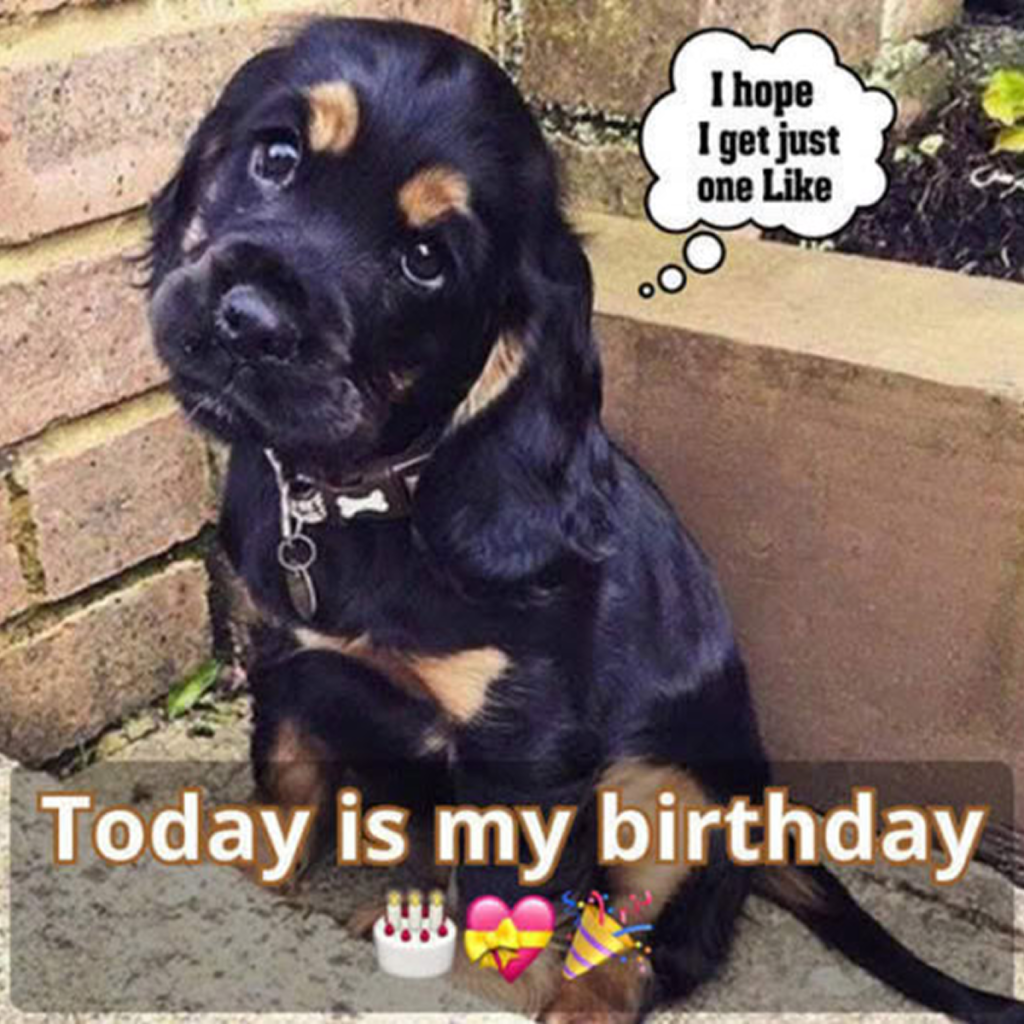 Today is my birthday, but I haven’t gotten any birthday wishes yet. It makes me feel like I’m invisible.dtht