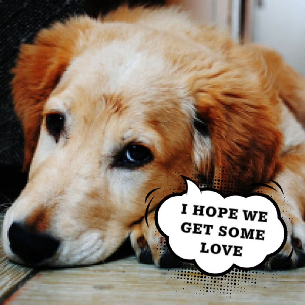 Today is my 2nd birthday, and I’m feeling sad because no one has thought to wish me a happy birthday. -dtht