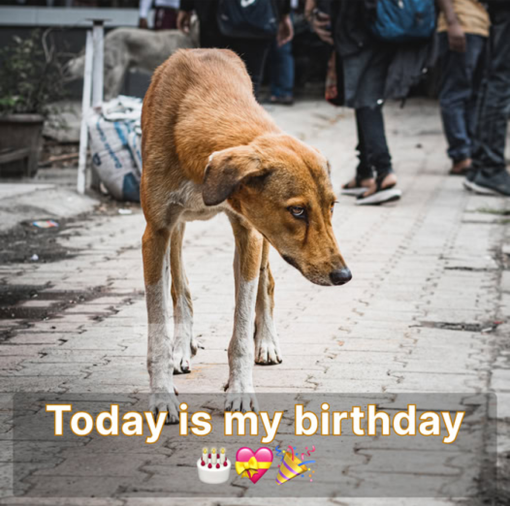 It's my birthday today, but I'm feeling a bit down because no one has remembered to send me any birthday wishes. 🎂😔 -ltbl