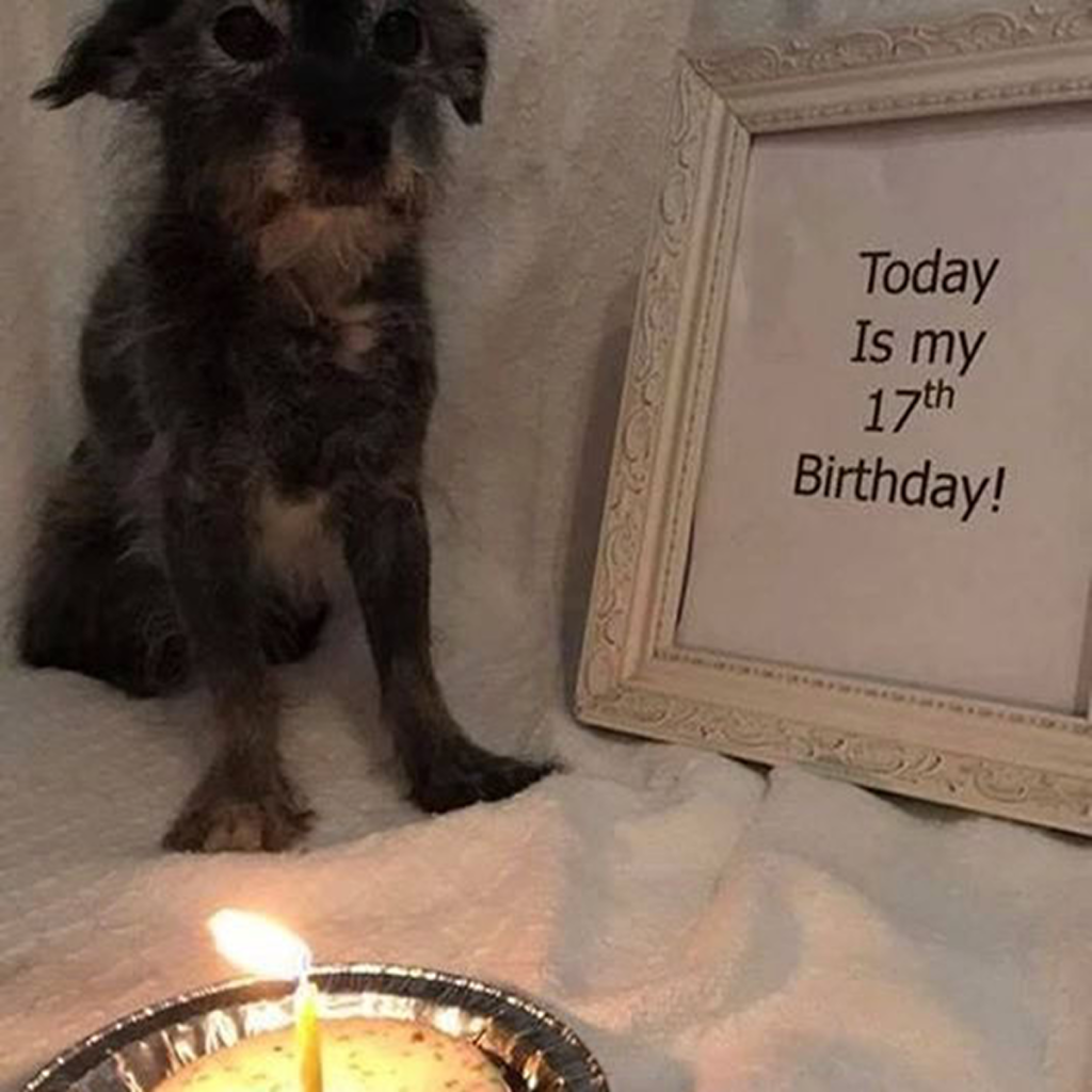 Today is my birthday, but I haven’t received any blessings yet. ‎-dtht