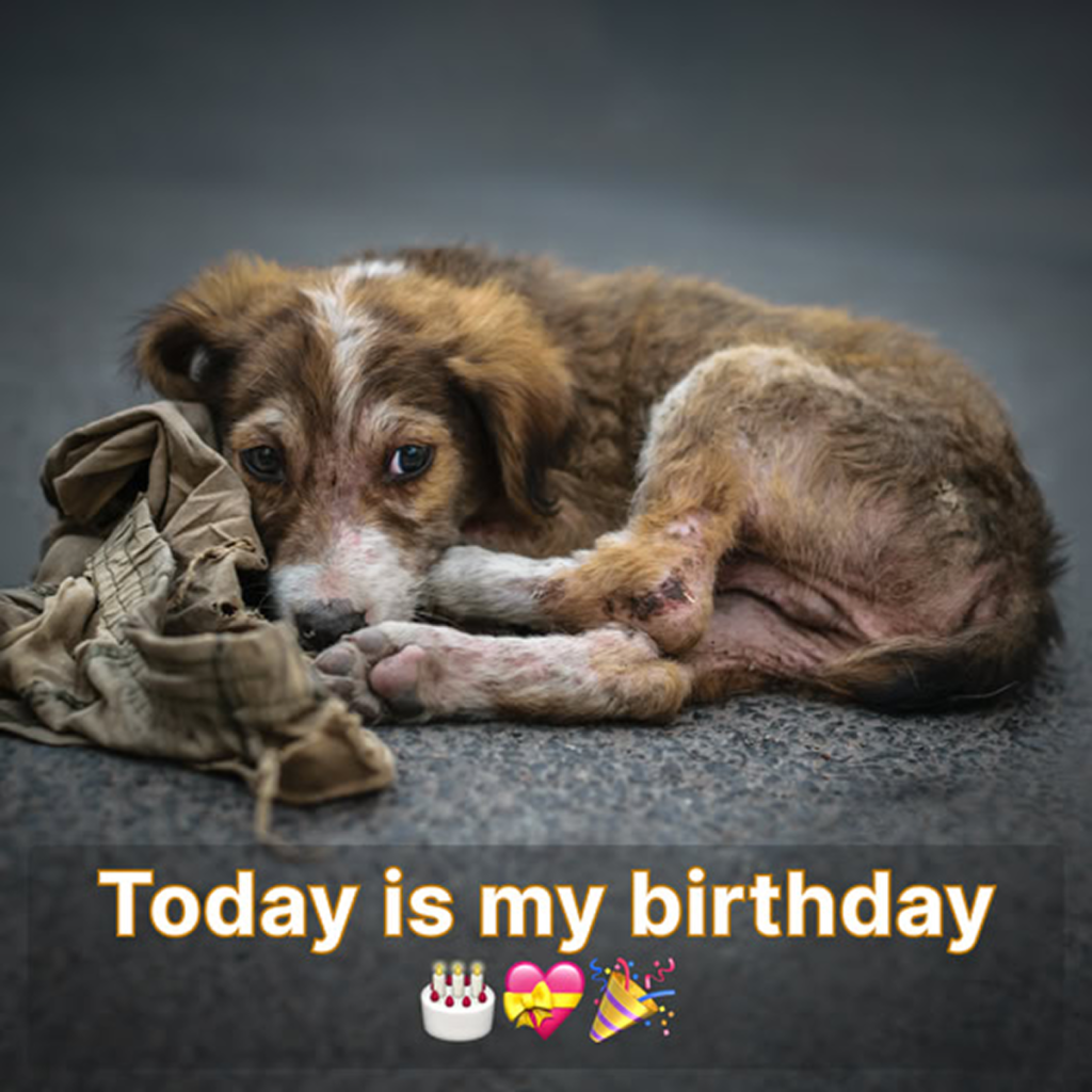 Today is my birthday, yet I’m feeling sad since no one has remembered to send me birthday wishes. -dtht