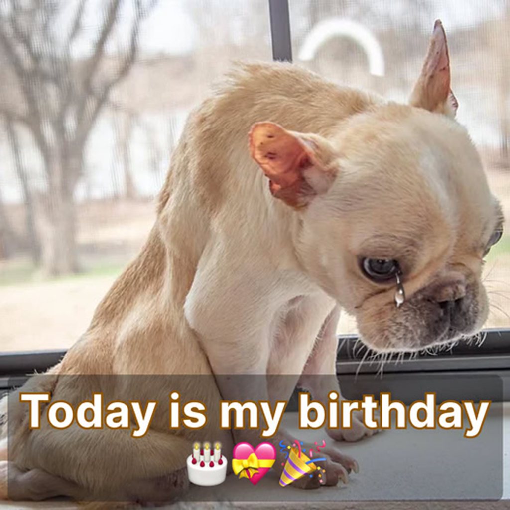 Today is my birthday, but I'm feeling really sad since no one has remembered to wish me a happy birthday. -dtht