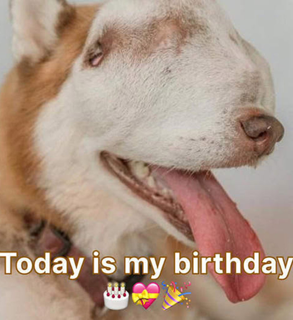 Today is my birthday, but it feels empty because no one has taken a moment to send a kind greeting. -dtht