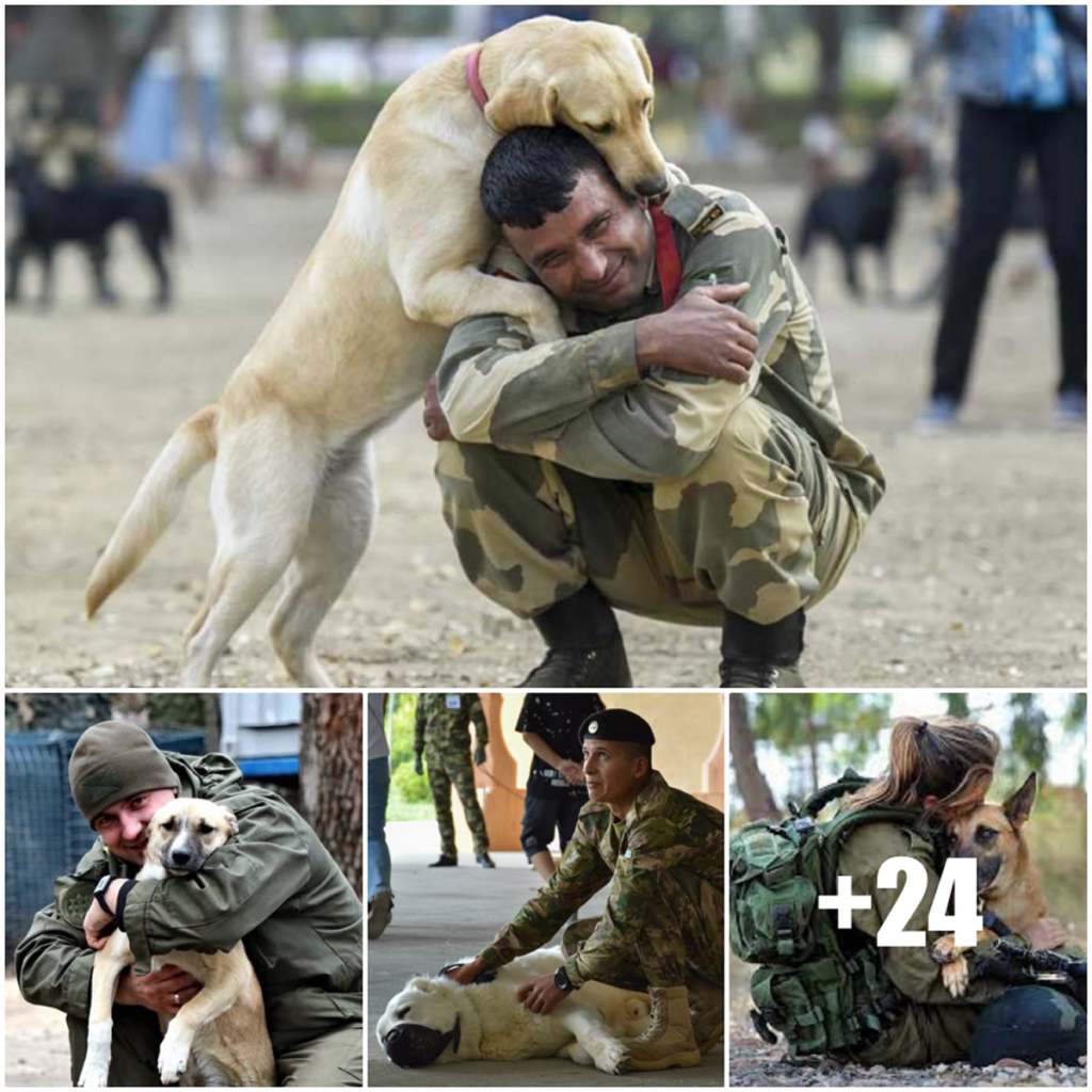 A brave puppy launches a heroic fight against a massive python to save his mother, proving that even the tiniest hearts can show the greatest courage-pvth