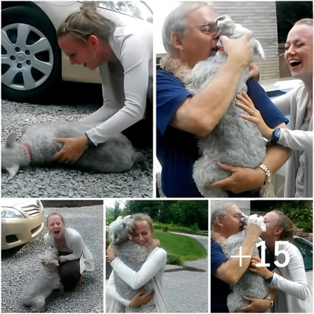 A soldier returns home after a long deployment, and his dog leaps into his arms with tears in its eyes, unable to contain its happiness. .-dtht