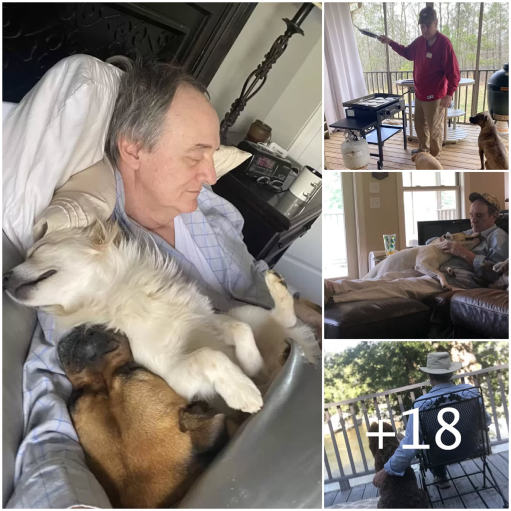 A woman is surprised to find her father peacefully napping, surrounded by all the neighbor’s dogs cuddled up beside him-pvth