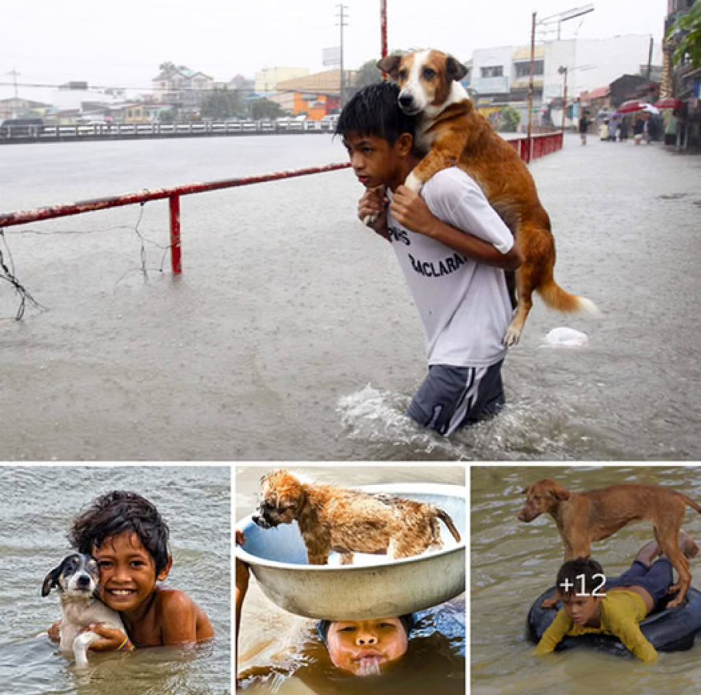 An 8-year-old orphan touches hearts as he compassionately offers shelter to a stray dog during a heavy downpour -ltbl