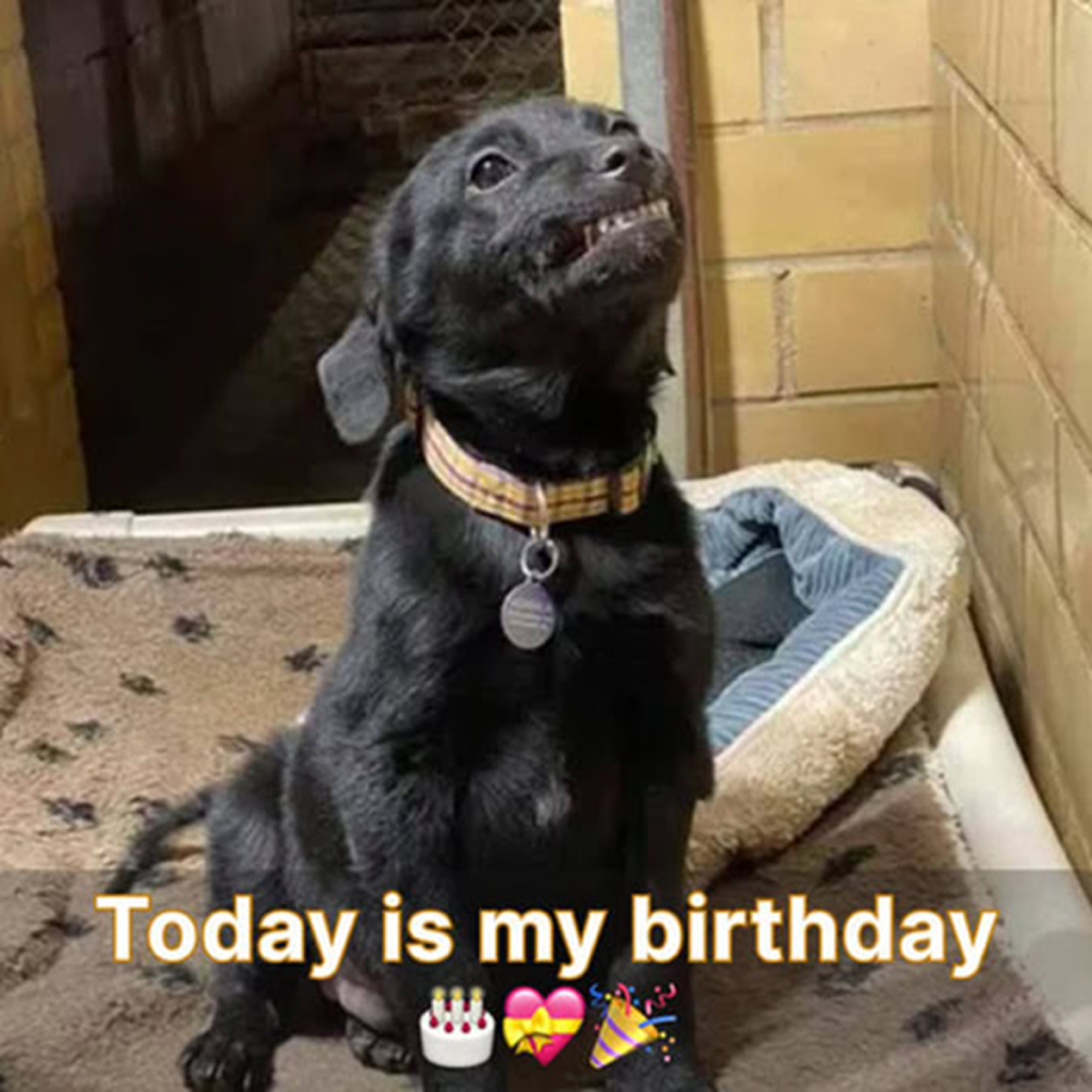 Even though it's my birthday, I feel down because my family forgot to celebrate it.dvh