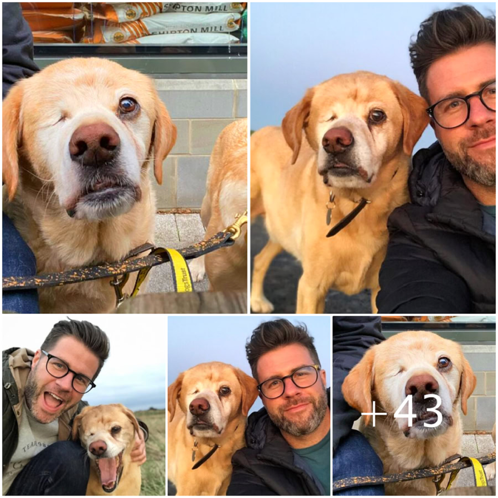 Facing cruel remarks from a stranger about his one-eyed dog, the veterinarian stands firm—proudly defending his loyal companion with unwavering love and dignity-pvth