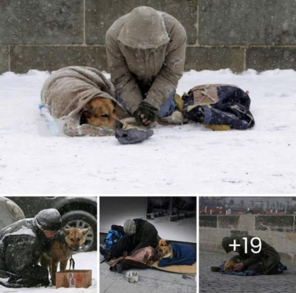 In the midst of a freezing snowstorm, a homeless man and his loyal dog huddle together for warmth, embodying a bond so strong it withstands both cold and adversity -ltbl