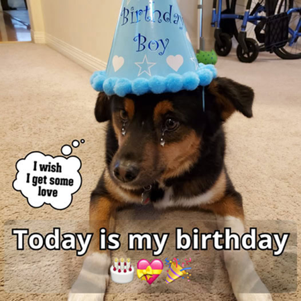 It’s my birthday, but the day feels lonely without anyone to celebrate with.dvh