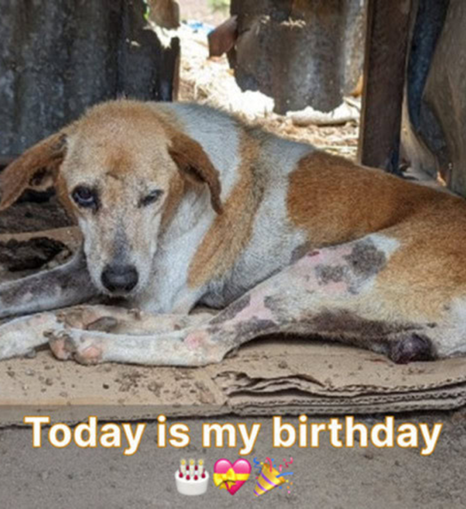 It's my birthday today. Not receiving any birthday wishes makes me sad. ‎-dtht