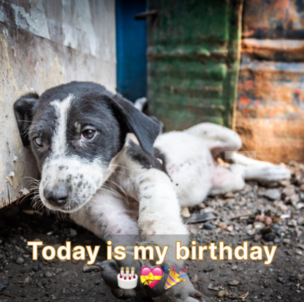 "It’s my birthday today, and I feel really down because no one has wished me yet." 🎂😔 -ltbl