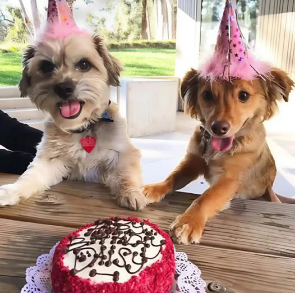 It's my birthday today, and I’d truly appreciate your kind wishes -ltbl