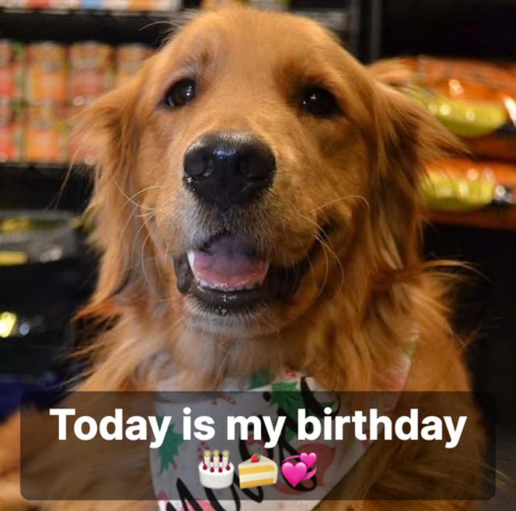It’s my birthday today, and even though I know I’m not perfect, it still stings that no one has taken a moment to send their wishes -ltbl