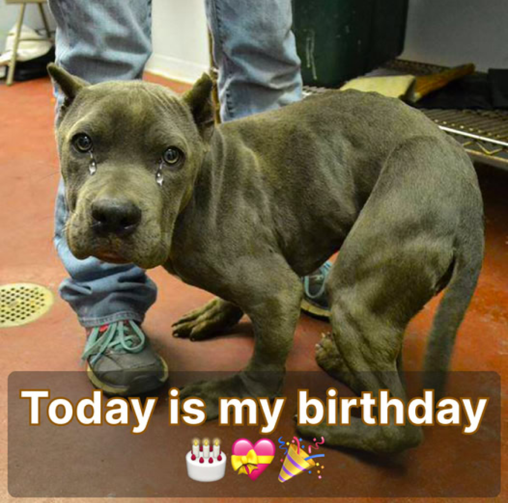 It’s my birthday today, but I still haven’t gotten any birthday wishes yet. 😔🎂 -ltbl