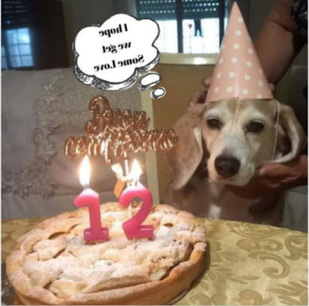 It’s my birthday today, but I’m feeling really sad because no one has recognized it with any birthday wishes -ltbl