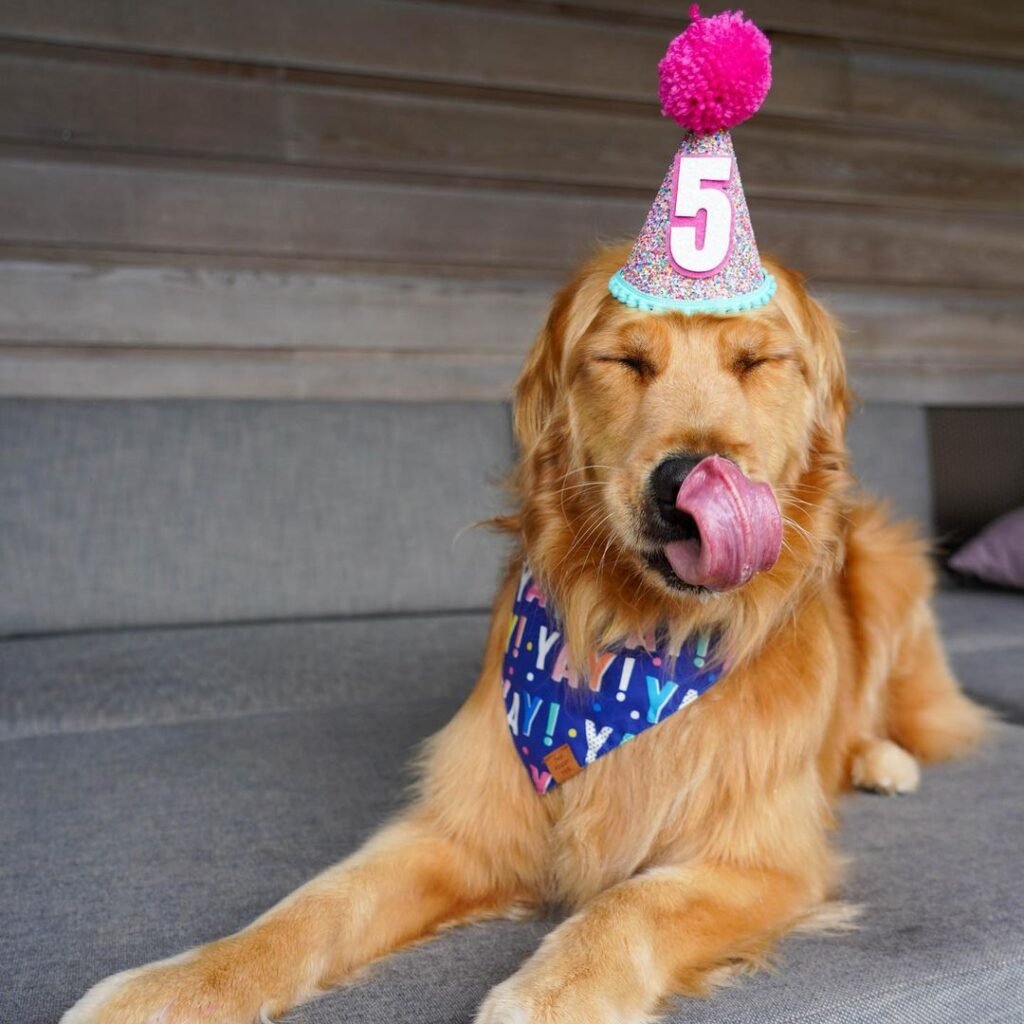 It's my birthday today, but the silence makes me feel like I've been forgotten. -dtht