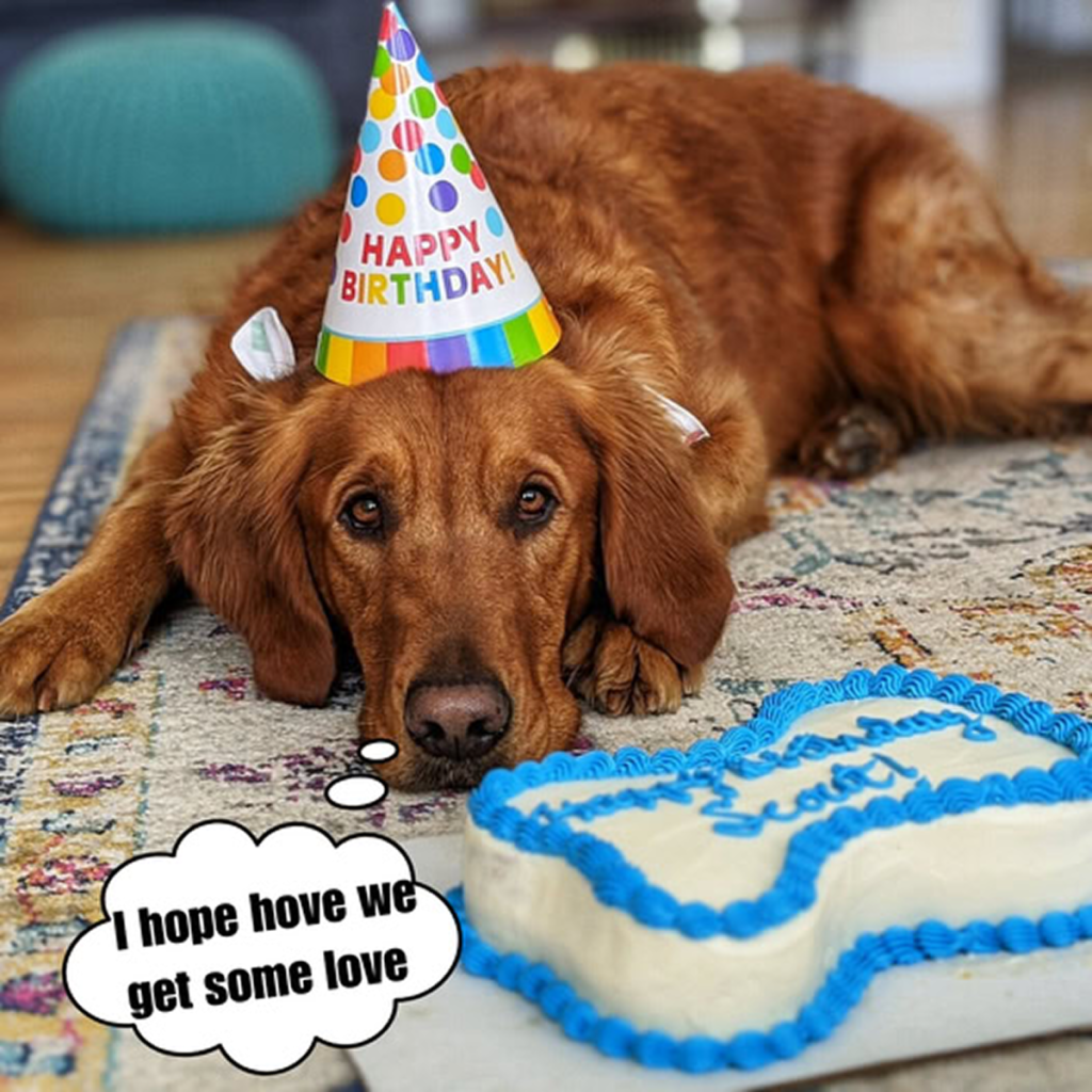 It's our birthday today, yet strangely, not a single 'Happy Birthday' has come our way—should we be worried or just patient? -dtht
