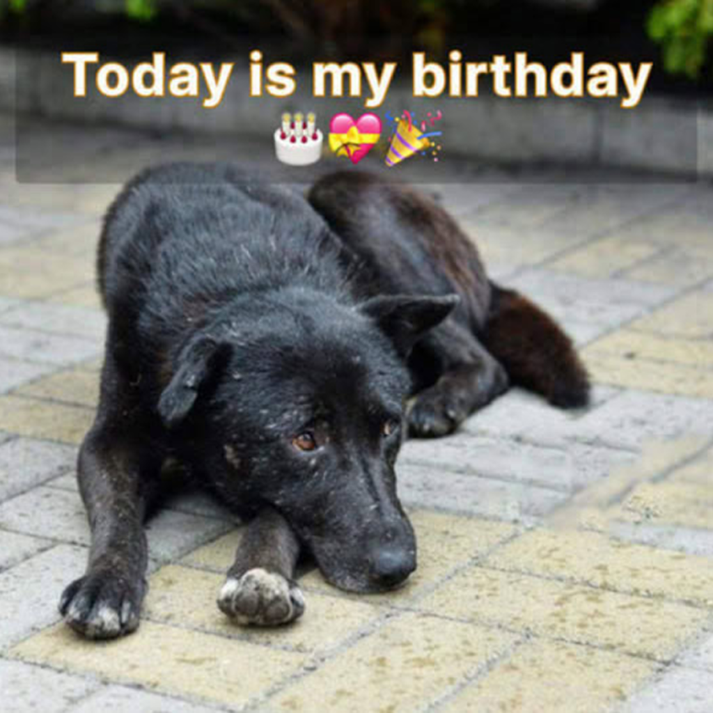 My birthday feels oddly silent, as though the world has quietly forgotten this special day.dvh