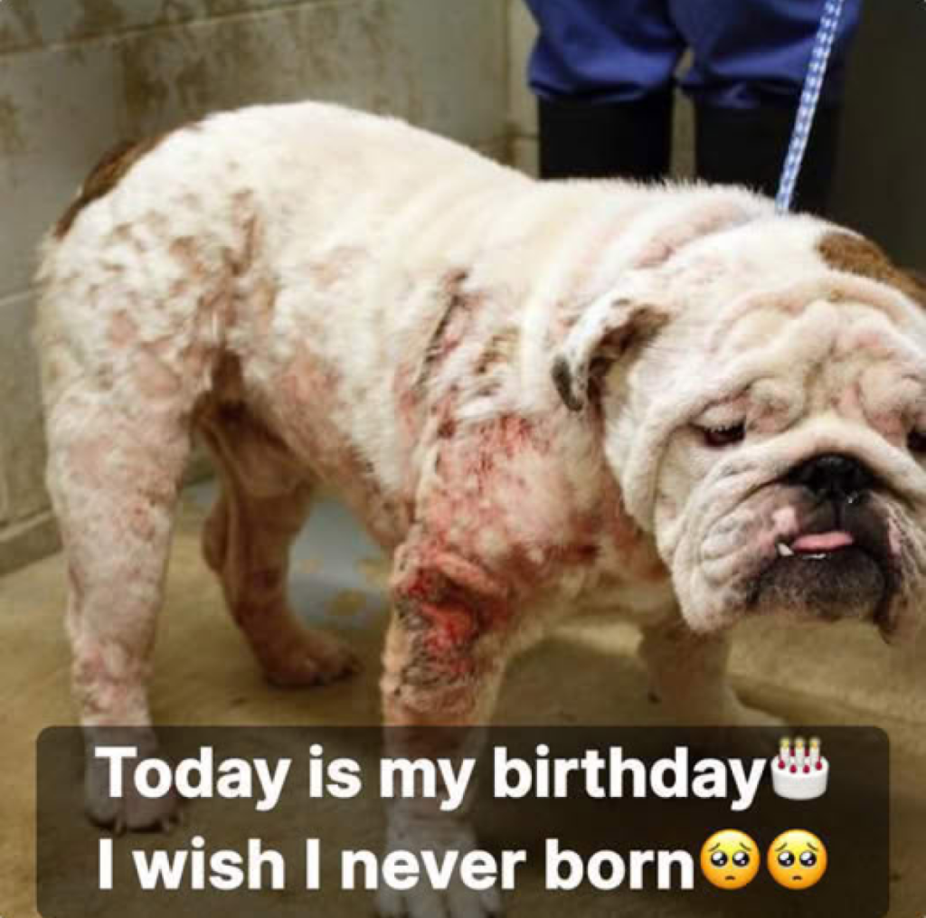Still waiting for birthday wishes… feeling a little low today -ltbl