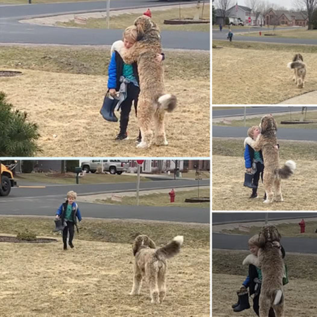 Tears of joy stream down as a beloved dog finds its way back to its young owner, bringing overwhelming happiness and comfort to their hearts. -dtht