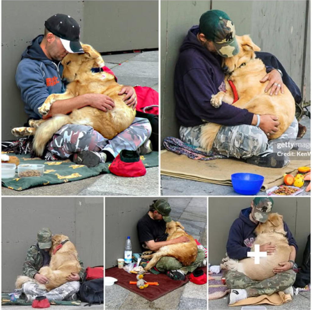The Heartwarming Connection of Love and Loyalty Between a Dog and Its Homeless Owner -ltbl