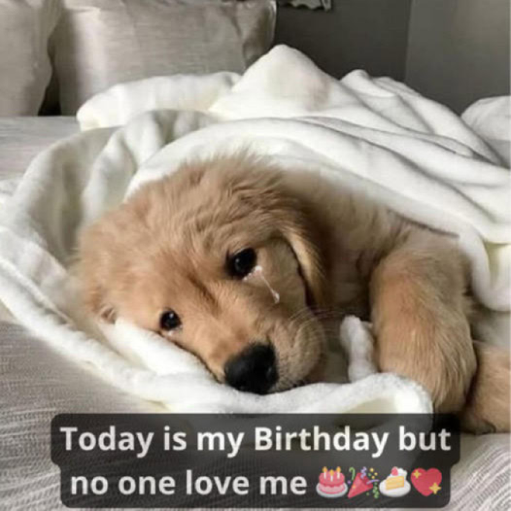 Though today is my special day, the lack of birthday wishes has left me feeling alone -ltbl
