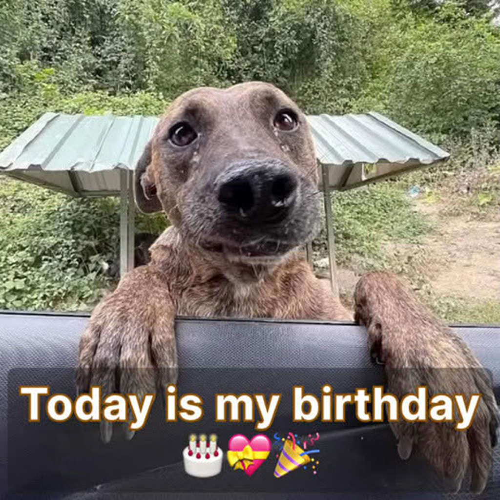 Today is my 10th birthday, I know I’m not perfect but no one ever blessed me!dvh