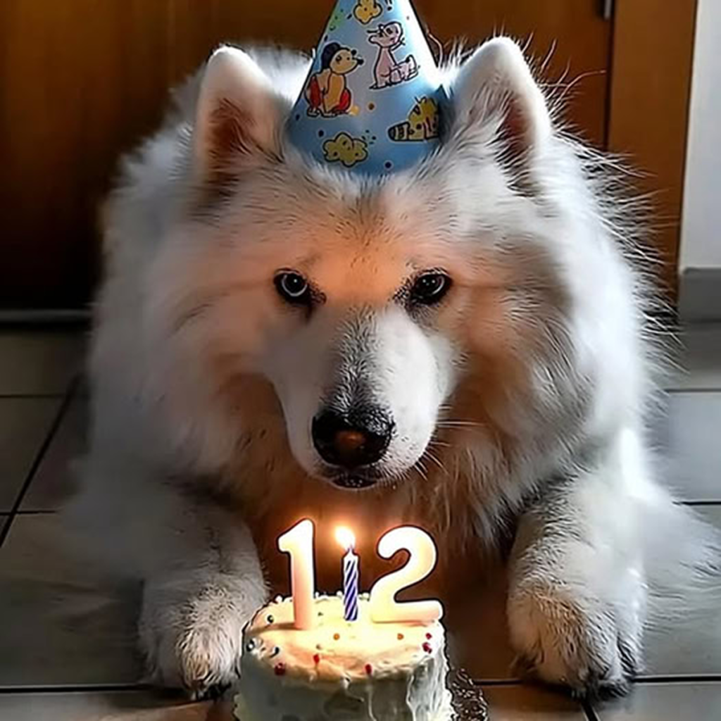 Today is my birthday . I know I’m not perfect, but no one has ever wished me well . ‎-dtht