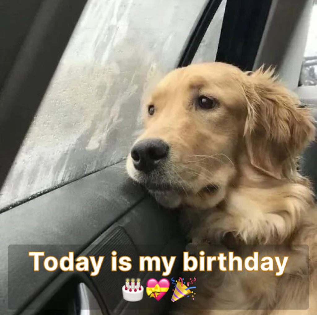 Today is my birthday. I thought I'd receive lots of wishes, but they said I wouldn't get any because I'm not pretty… is that really true? 🎂😔 -ltbl