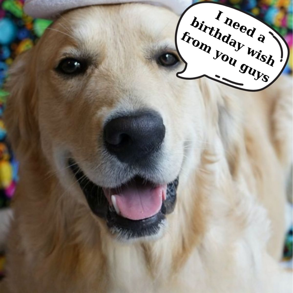 Today is my birthday, and I would feel incredibly happy to know that everyone is thinking of me and celebrating. -dtht