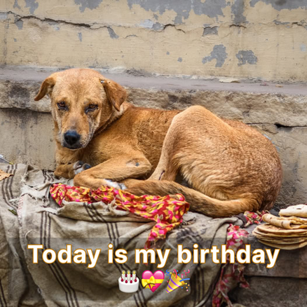 Today is my birthday, and despite hoping for some cheer, I’m feeling really low because no one has acknowledged it. -dtht