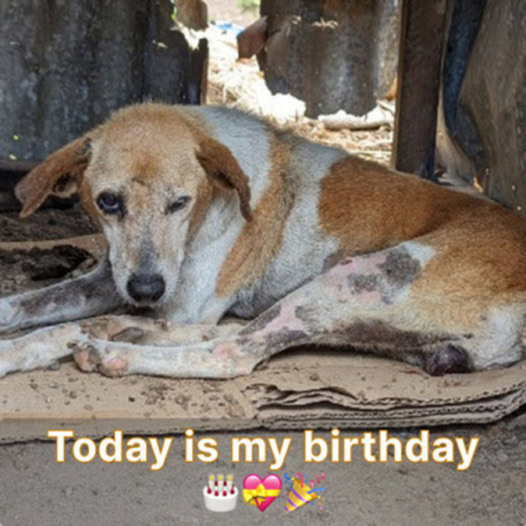 Today is my birthday, and it makes me sad when no one wishes me a happy birthday. -dtht