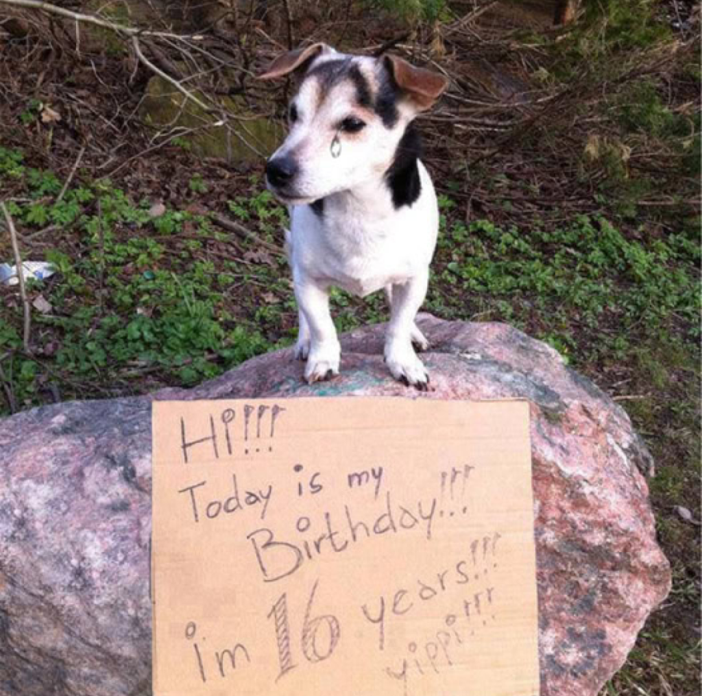 Today is my birthday, and yet no one has wished me a happy birthday so far. 😔 -ltbl