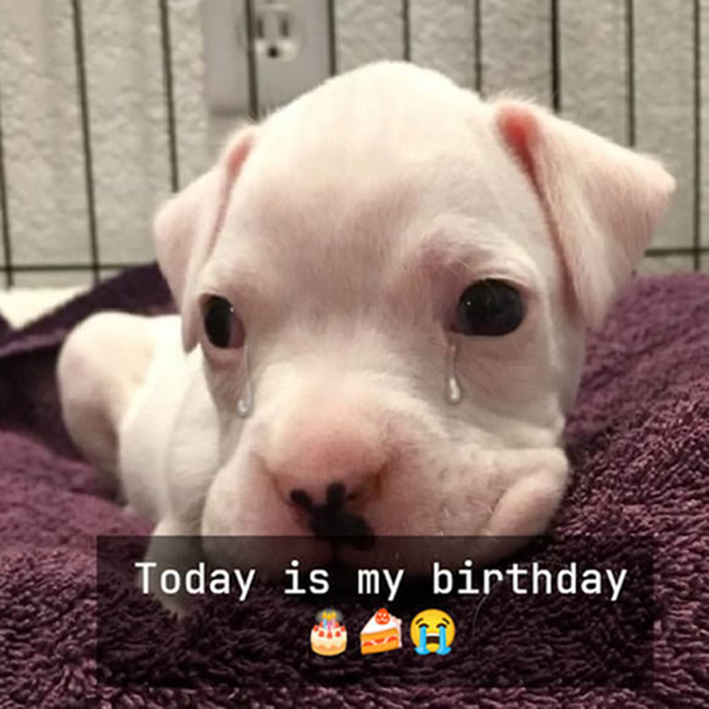 Today is my birthday, but I can’t help feeling sad because no one has remembered to wish me a happy birthday 🎂😔.dvh