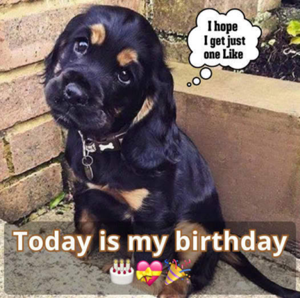 Today is my birthday, but I haven’t gotten any birthday wishes yet. It makes me feel like I’m invisible -ltbl