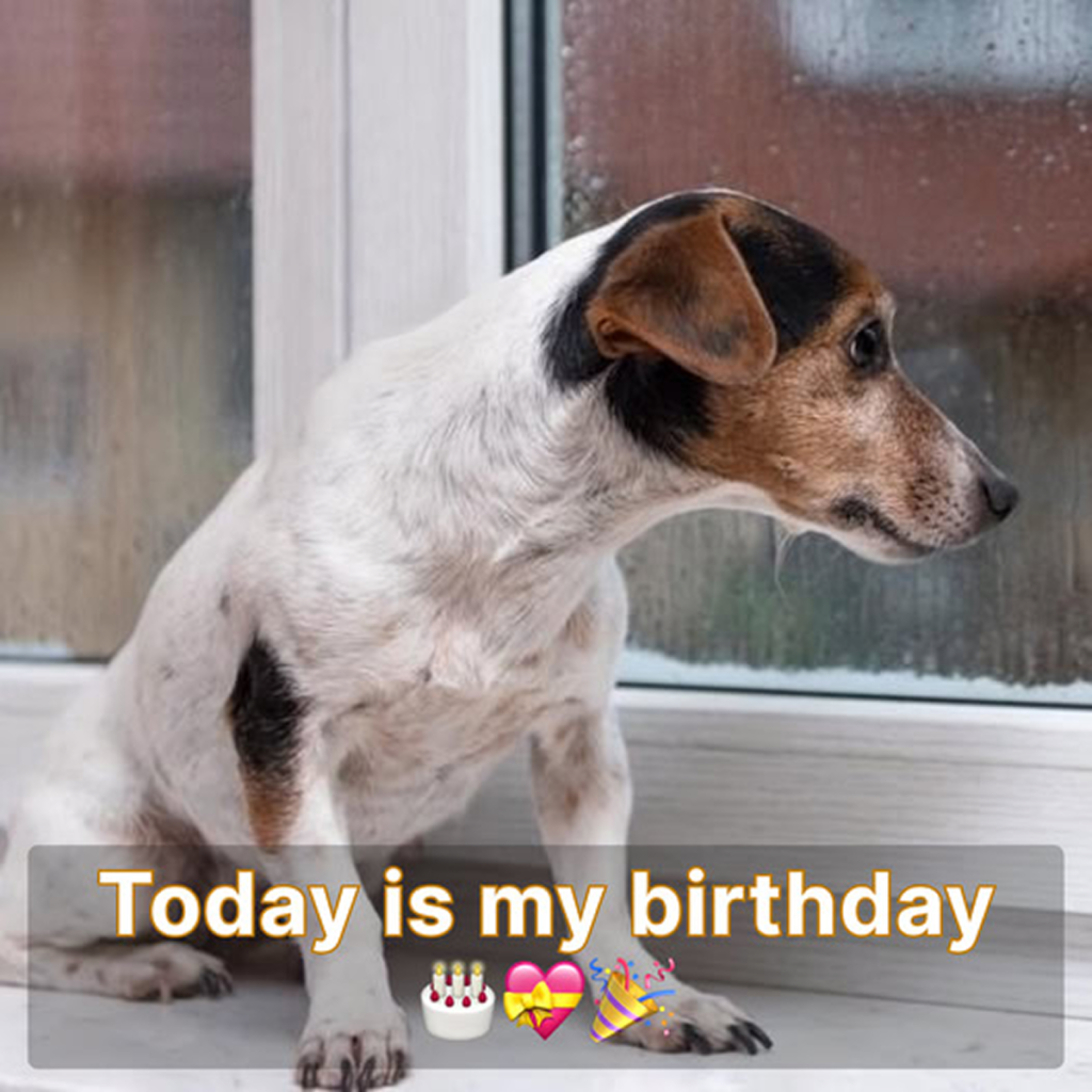 Today is my birthday, but I’m feeling disappointed because no one has sent any birthday wishes my way. -dtht