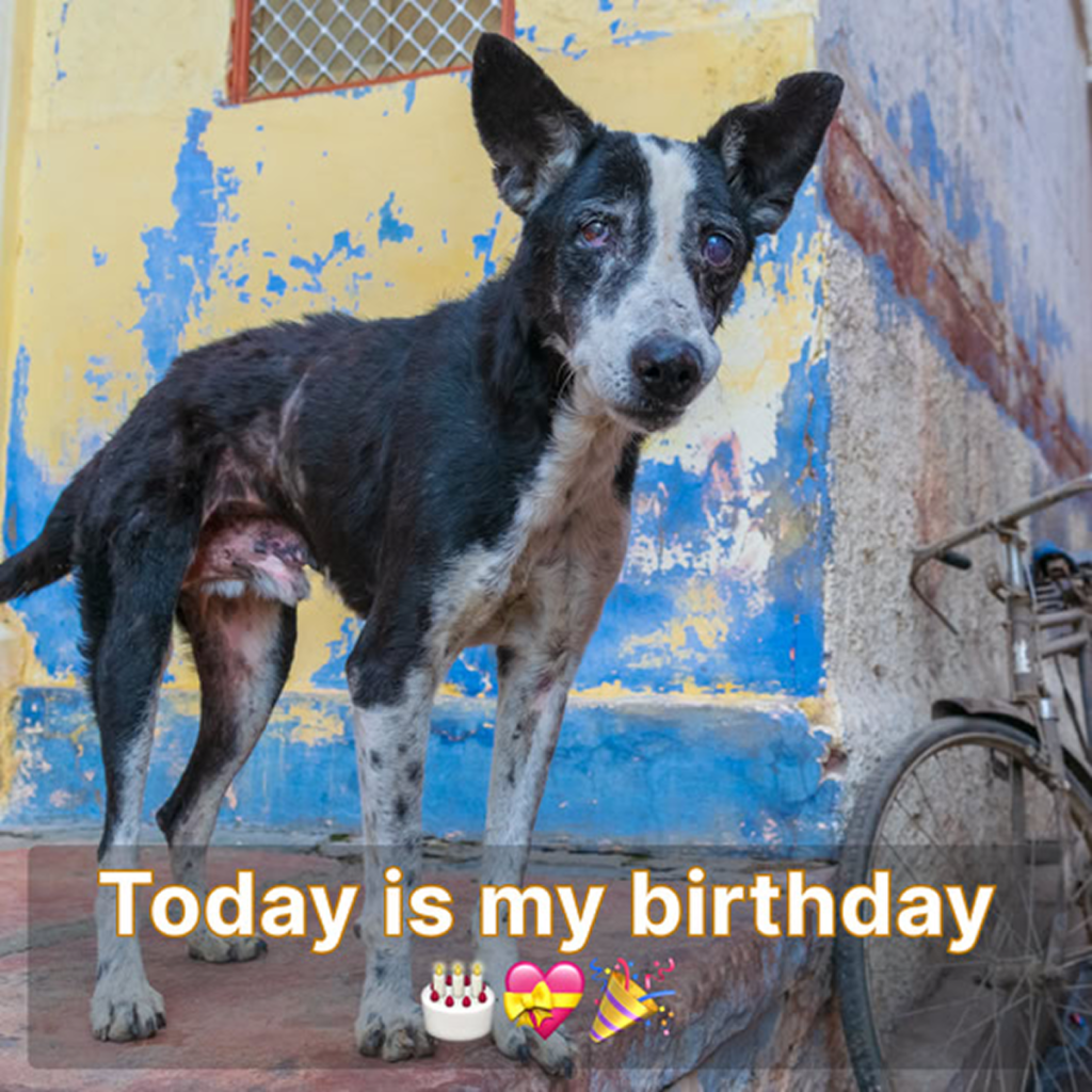Today is my birthday, but I’m feeling down because no one has taken the time to wish me a happy birthday -dtht