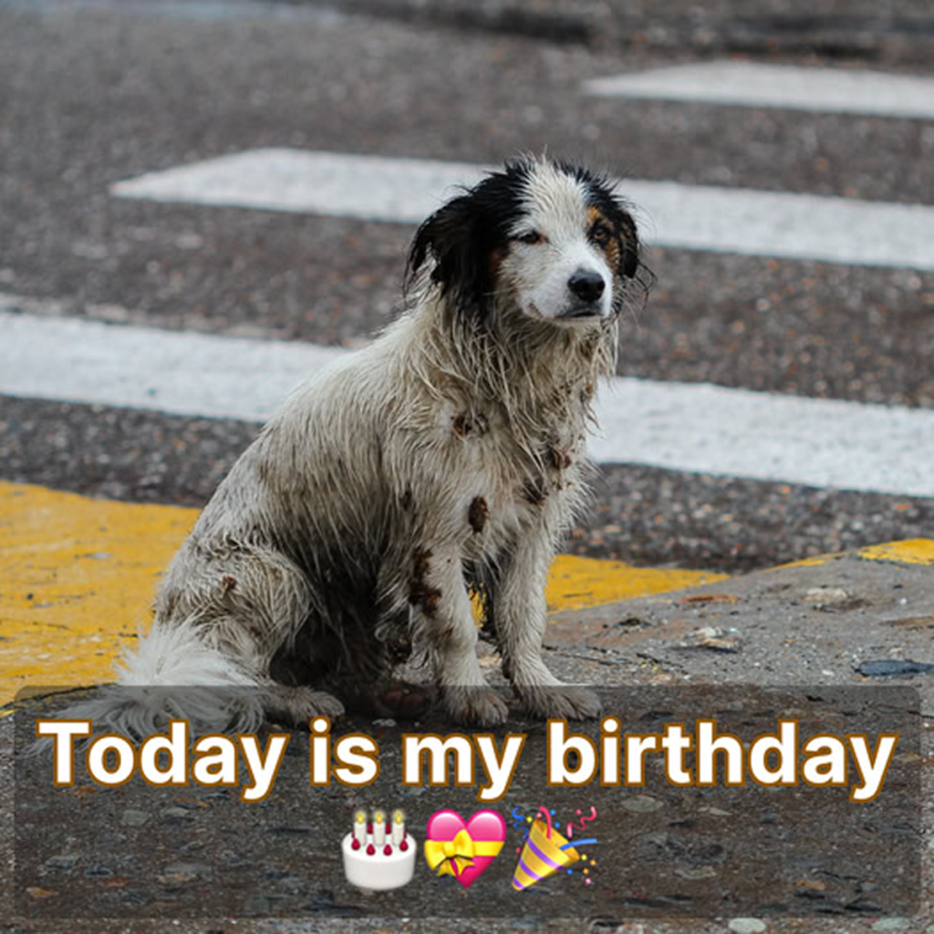 Today is my birthday, but I’m feeling low since no one has taken the time to send me birthday wishes. -dtht